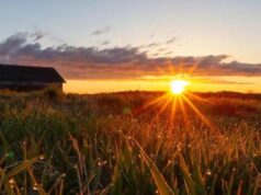 The Uplift: The Sunrise Guy