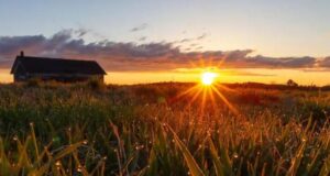 The Uplift: The Sunrise Guy