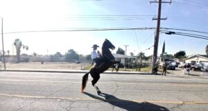 Charlie Sampson, Black Cowboys to Make an Appearance at the Riverside Black History Parade on Saturday, February 8