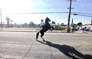 Charlie Sampson, Black Cowboys to Make an Appearance at the Riverside Black History Parade on Saturday, February 8