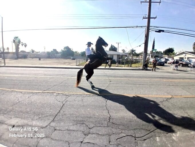 Charlie Sampson, Black Cowboys to Make an Appearance at the Riverside Black History Parade on Saturday, February 8