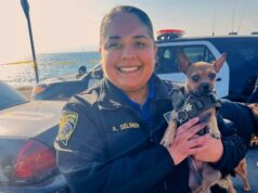 City of San Bernardino Animal Services Assists Victims Locate Their Animals in Wake of the Palisades Fire