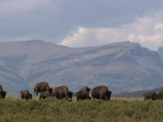 Walmart and Sam’s Club Fight Hunger. Spark Change Campaign Returns to the Inland Empire to Help People Facing Hunger