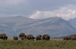 Walmart and Sam’s Club Fight Hunger. Spark Change Campaign Returns to the Inland Empire to Help People Facing Hunger