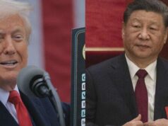 4/11: The Daily Report