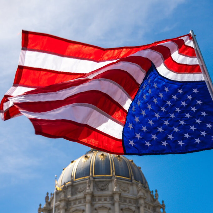 ‘Death By a Thousand Cuts’ — Protestors Turn Out en Masse to Denounce Trump, Musk