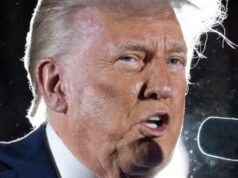 5/5: The Daily Report