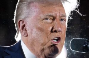 5/5: The Daily Report