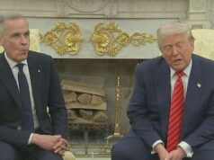 5/6: The Daily Report