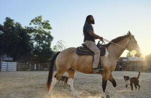 Breaking the Cycle: My Journey to Freedom from Nicotine Addiction