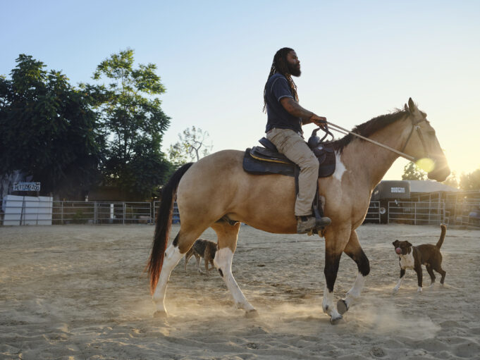 Breaking the Cycle: My Journey to Freedom from Nicotine Addiction