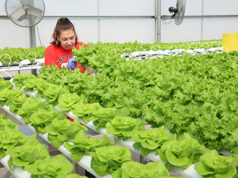 San Bernardino City Unified School District’s San Andreas High Named A 2025 Model Continuation High School