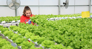 San Bernardino City Unified School District’s San Andreas High Named A 2025 Model Continuation High School