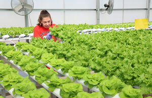 San Bernardino City Unified School District’s San Andreas High Named A 2025 Model Continuation High School