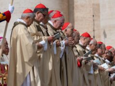 Who will be the next pope? Here’s a list of some possible candidates to succeed Pope Francis.