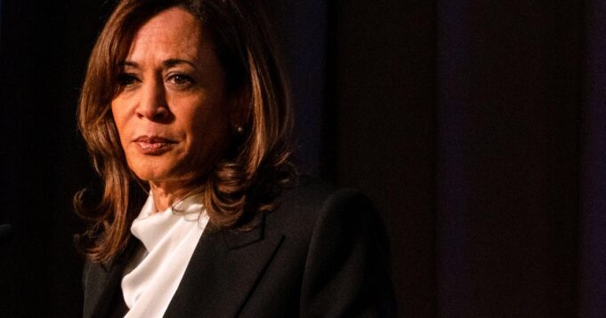 Kamala Harris makes Met Gala debut, says art and politics are related