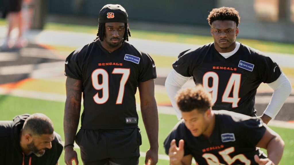 Bengals' Stewart sits amid contract language flap