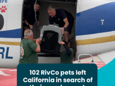 Riverside County Animal Services Transports 102 Pets Out-of-State for New Opportunities