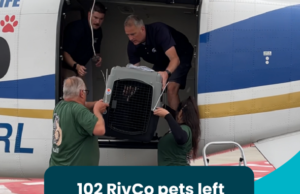 Riverside County Animal Services Transports 102 Pets Out-of-State for New Opportunities