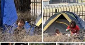 Discovery Of Seven Children Living In Graveyard