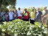 Victorville Senior Citizens Center Hosts Community Garden Celebration