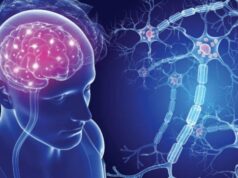 New Hope for Multiple Sclerosis Patients as Scientists Identify Promising Compounds