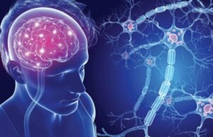 New Hope for Multiple Sclerosis Patients as Scientists Identify Promising Compounds