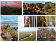 Borrow a Free State Parks Day-Use Pass with Your County Library Card