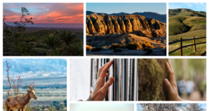 Borrow a Free State Parks Day-Use Pass with Your County Library Card