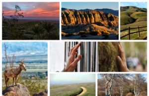 Borrow a Free State Parks Day-Use Pass with Your County Library Card