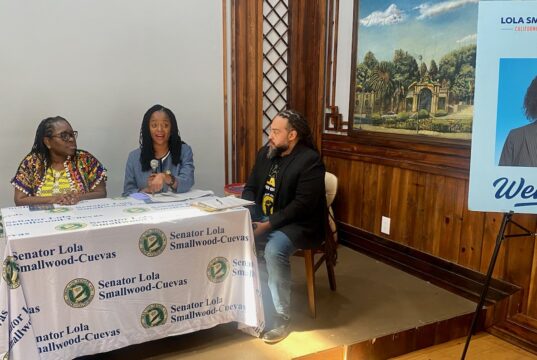 Smallwood-Cuevas Town Hall Warns ICE Risks Extend Beyond Immigrants