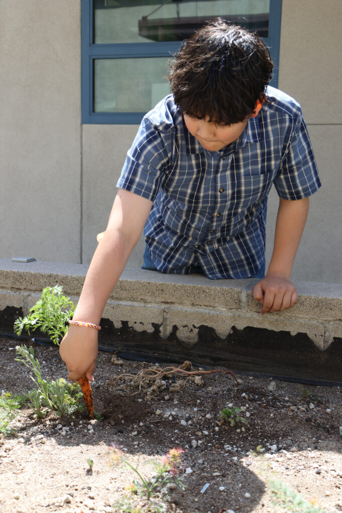 Norton Elementary Earns Top Honors as a California Green Ribbon School Award Green Achiever School