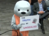 Anonymous Costumed Seal Delivers Serious Message at San Bernardino County Board of Education Meeting