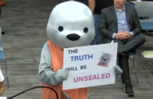 Anonymous Costumed Seal Delivers Serious Message at San Bernardino County Board of Education Meeting